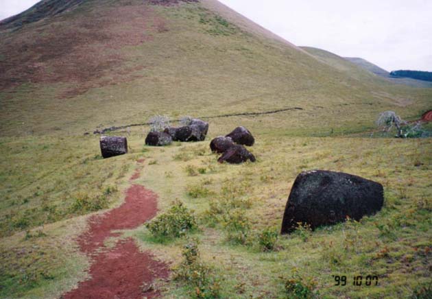 punapau1-3.jpg (43698 �o�C�g)